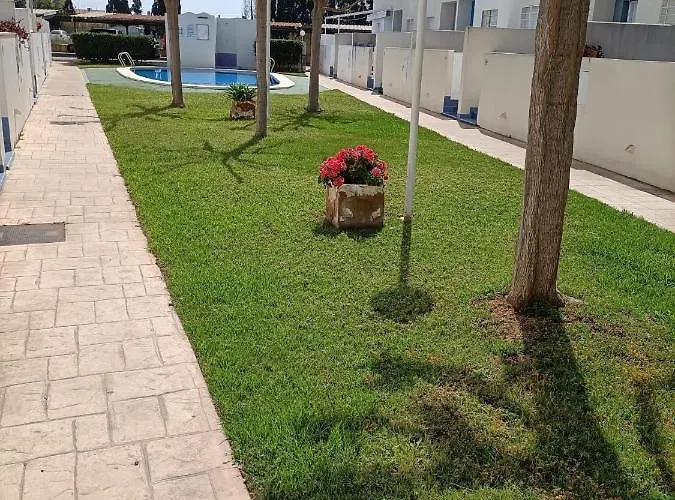 Mar Azul 阿尔马佐拉